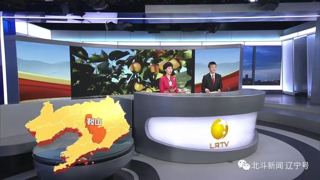 辽宁卫视高清直播的相关图片
